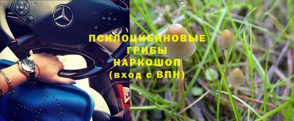 трава Бабаево