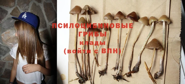 марихуана Анжеро-Судженск